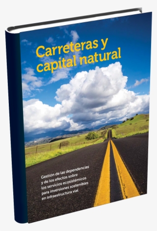 Carreteras Y Ecosistemas