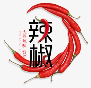 Chili Organic Pepper Art Word Design