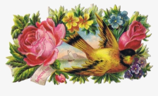 bird clip art antique graphics from http