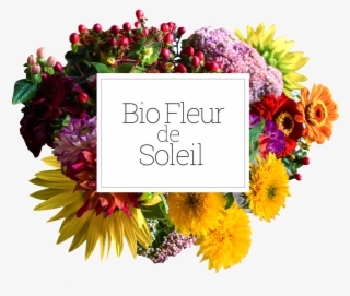 Logo Bio Fleur De Soleil