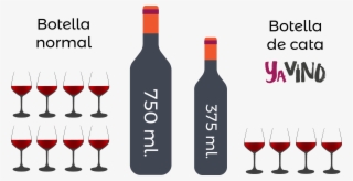 4 Copas De Vino Por Botella De Cata