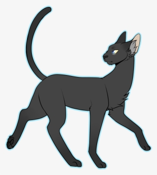 Crowfeather Based Him Off My Own Cats Body Type