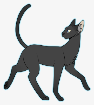 crowfeather based him off my own cats body type
