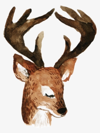 Cartoon Longhorn Deer Png
