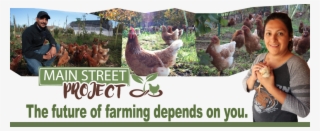 Chicken Csa Web Footer Sustainable Food Regenerative