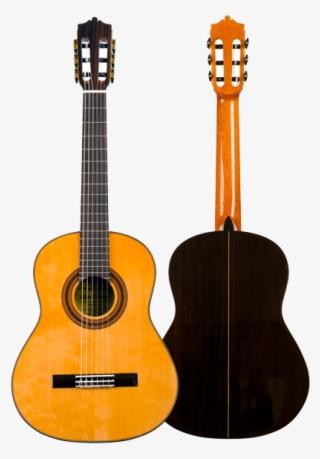 Guitarra Clásica Martínez Modelo Mcg-505