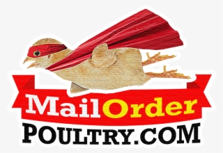 Mail Order Poultry