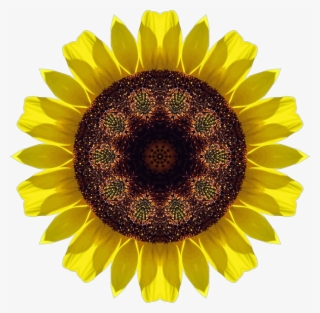 This Free Icons Png Design Of Sunflower Kaleidoscope