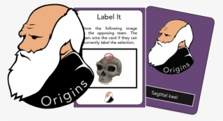 'origins' Card Game Teaches Basics Of Human Evolution