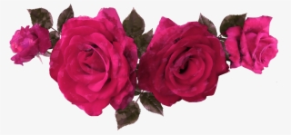 Free Watercolor Rose Flowers