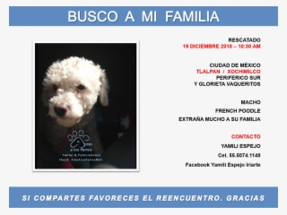 #sos #cdmx #tlalpan #xochimilco #glorietavaqueritos