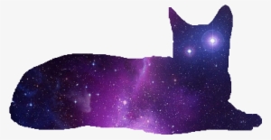 Galaxy Cat Divider - Animal Galaxy Cat