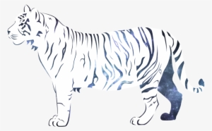 3 Kb, Backgrounds - White Tiger Vector Png