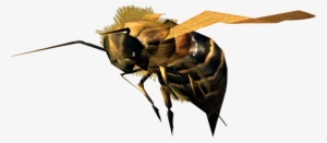Bee - Portable Network Graphics