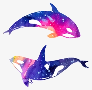 Dolphin Watercolor Painting Illustration - Dolphin Watercolor Png