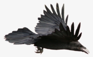 Crow Png Image - Works Of Edgar Allan Poe - [book]