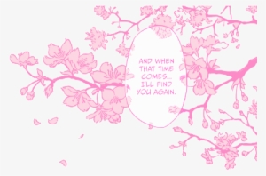 Drawn Cherry Blossom Transparent - Cherry Blossom Pink Manga