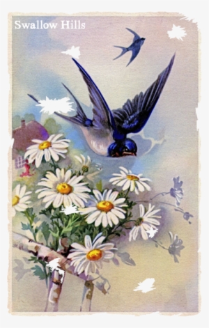 Swallow Hills Flag - Birds Design Vintage