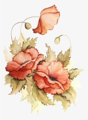 Poppies - Painted Flowers Png