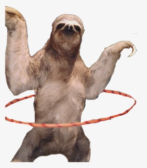 Sloth - Sloth Png
