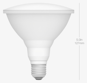 Dimensions Par38 Front - Incandescent Light Bulb