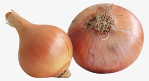 Fresh Onion Png