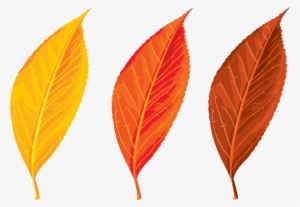 Top 82 Autumn Leaf Clip Art - Autumn Leaves Clipart