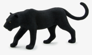 Wildlife - Animal Planet Black Panther