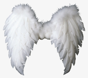 Free Png White Wings Png Images Transparent - Пнг Крылья