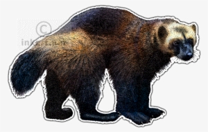 Clipart Transparent Stock Png For Free Download On - Wolverine Throw Blanket
