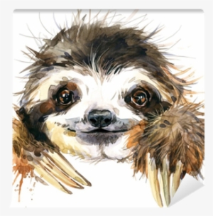 Watercolor Sloth Illustration - Watercolor Sloth