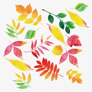 Svg Transparent Stock Autumn Leaf Color Transprent