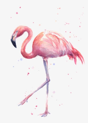 Click And Drag To Re-position The Image, If Desired - Watercolour Flamingo