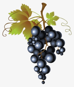 Picture Library Library Grape Png Image Free Picture - Grapes Clipart No Background