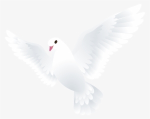 Doves Png