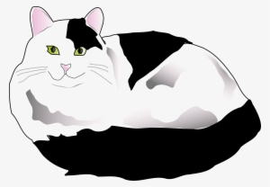 Graphic Transparent Clipart Black And White Cat - White And Black Cat Png