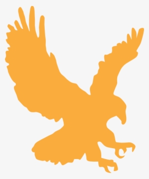 Gold Eagle - Cargo Wings Logistics Ltd