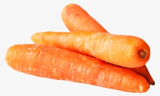 Free Png Carrot Png Images Transparent - Transparent Background Carrot Png