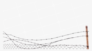 Barbed Wire Fence - Fence