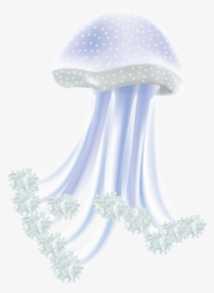 Transparent Jellyfish Png