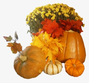 All Png Images Have A Transparent Background So They're - Thanksgiving Png Background Hd