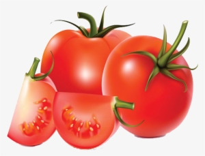 Royalty Free Stock Tomato Vegetable Transprent Png