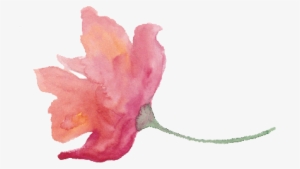 Free Watercolor Floral Texture With Provence Flowers - Watercolor Painting