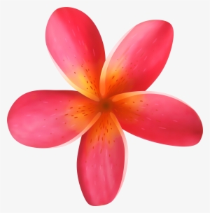 Tropical Flower Png Clip Art Image