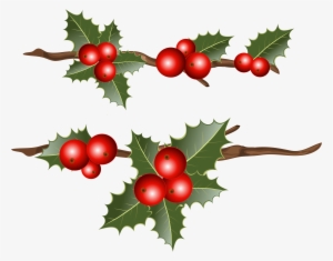 Christmas Berry Branch Clipart