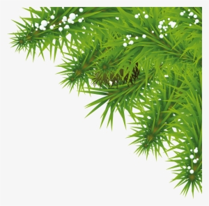 Fir-tree Png Images, Free Download Picture - Nature Picsart Png Hd