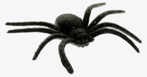 Scary Spider Png