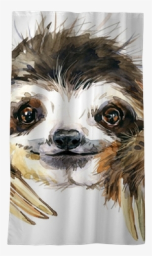 Watercolor Sloth Illustration - Watercolor Sloth