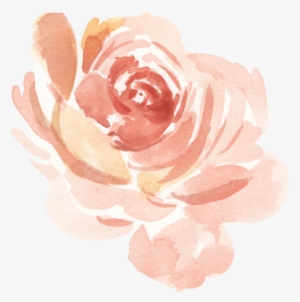 Paprika9 - Garden Roses