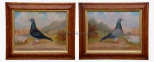 Estwood Lady' Blue Hen & 'eastwood Dianne' Blue Cheq - Picture Frame